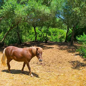 Es Fangar By Mallorca Selection Sineu (Mallorca)